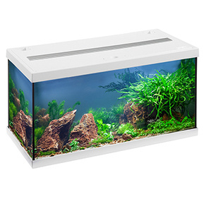 Аквариум EHEIM aquastar 54 LED белый 54л 60x30x30см #1