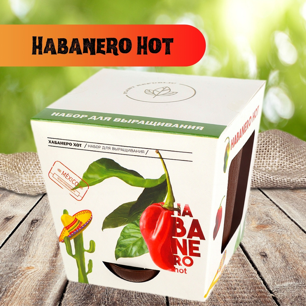 Набор для выращивания растений перец острый семена Хабанеро Хот  #1