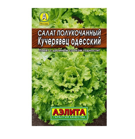 Салат полукочанный Кучерявец Одесский 0,5г обладает нежным вкусом без горечи. Идеально подходит для употребления #1