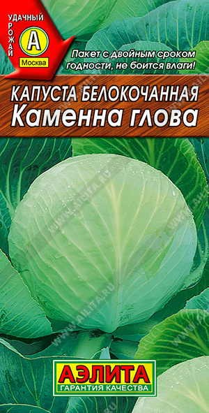 Капуста белокочанная Каменна глова, для длительного хранения и квашения  #1