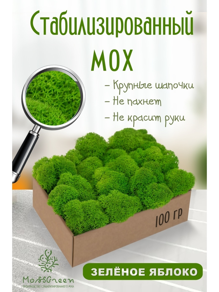 Moss Green Стабилизированный мох Мох, 100 гр #1