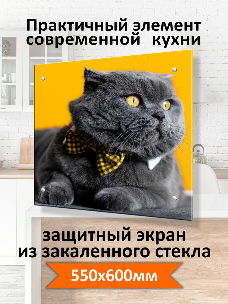 Защитный экран от брызг на плиту 600х550х4мм. Стеновая панель для кухни из закаленного стекла. Фартук #1