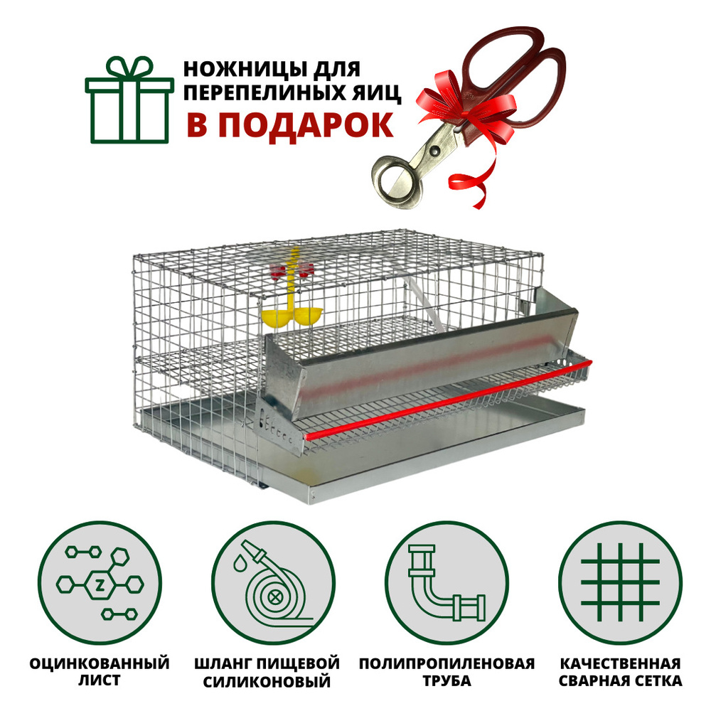 Клетка для перепелов на 15 голов в полной комплектации #1