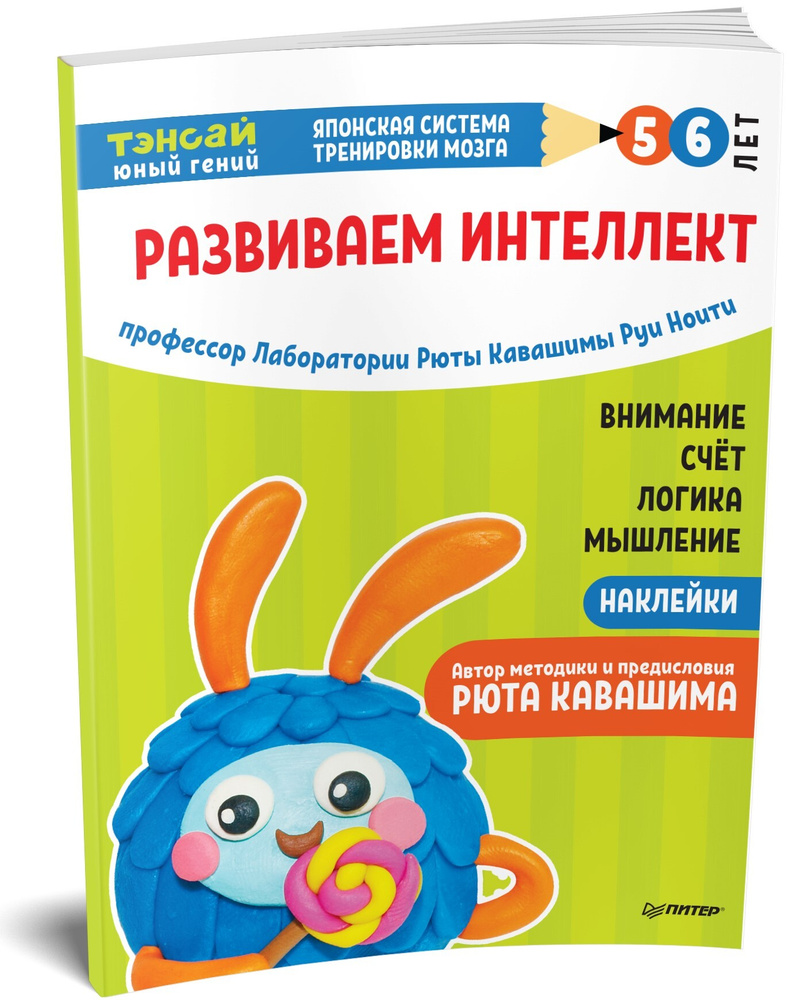 Тэнсай. Развиваем интеллект. 5-6 лет (с наклейками) | Ноити Руи, Кавашима Рюта  #1