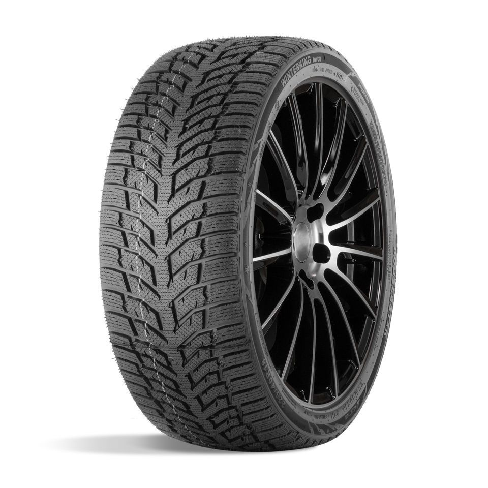 Doublestar DW08 Шины  зимние 225/55  R17 97T Нешипованные #1