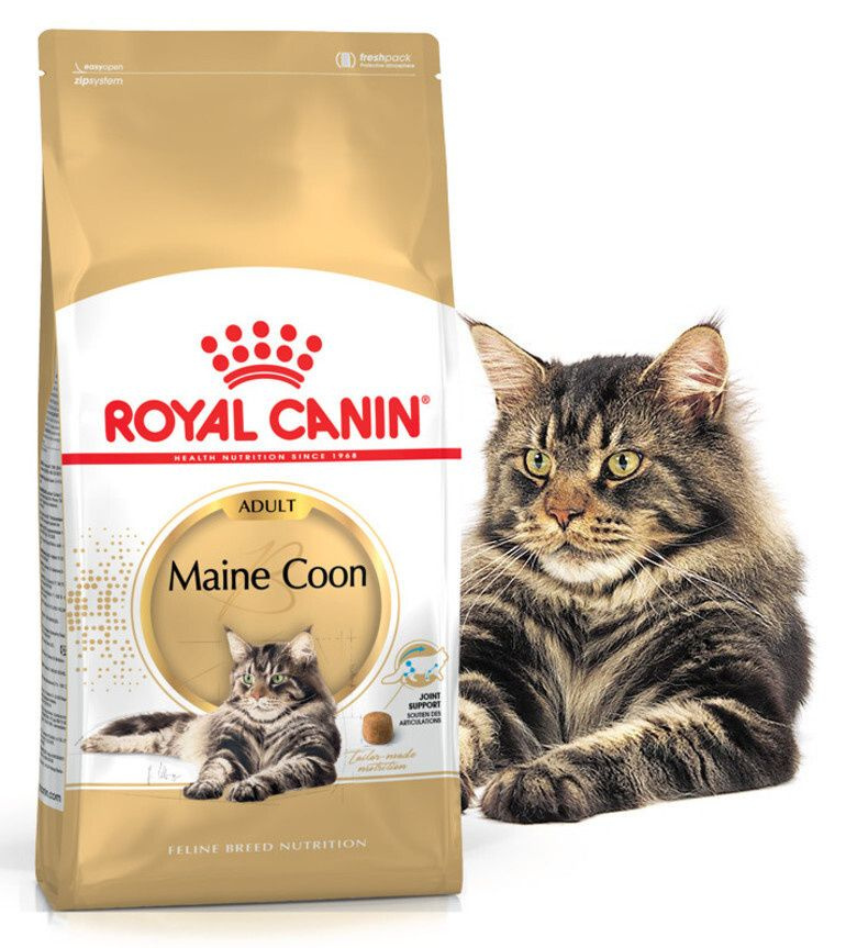 Сухой корм Royal Canin Main Coon для кошек породы Мэйн Кун, 2 кг #1