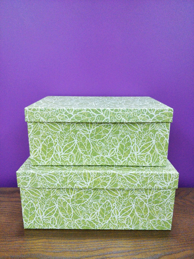 Набор из 2х прямоугольных коробок "Зеленые листья" бол 21.5*14*9 -23.5*15.5*10см  #1