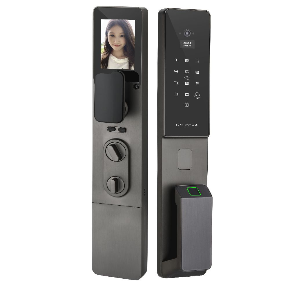 Умный дверной замок DiXiS Smart Door Fingerprint Lock DZ011A (Tuya) - Gray #1