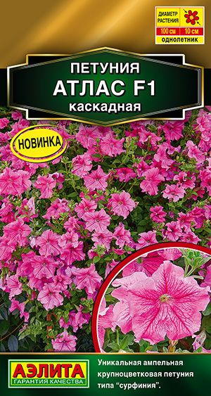 Петуния ампельная Атлас аналог сурфинии #1