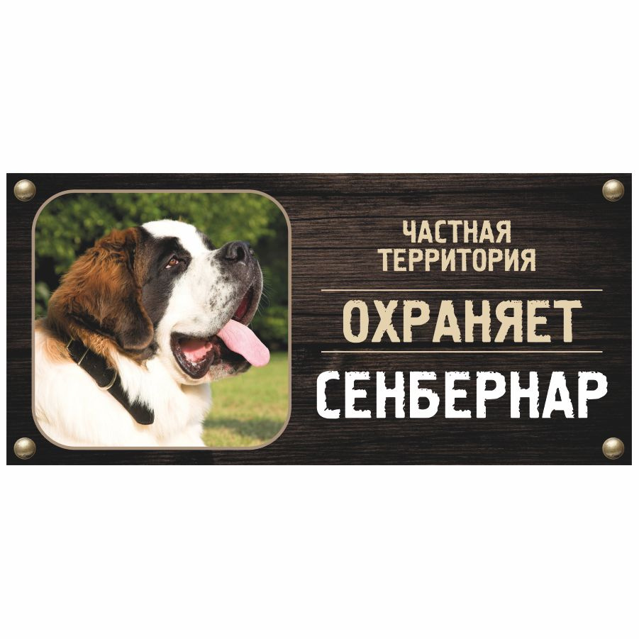 Табличка, Злая собака, Территорию охраняет Сенбернар, на металлической основе, 30см х 14 см, на забор, #1