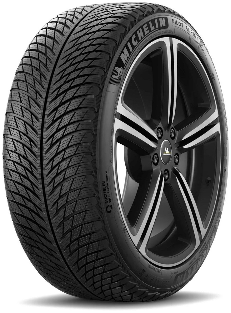 MICHELIN Pilot Alpin 5 NA0 Шины  зимние 295/30  R21 102V Нешипованные #1