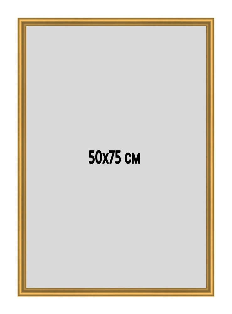 Фоторамка металлическая (алюминиевая) золотая для постера, фотографии, картины 50х75 см. Рамка для зеркала. #1