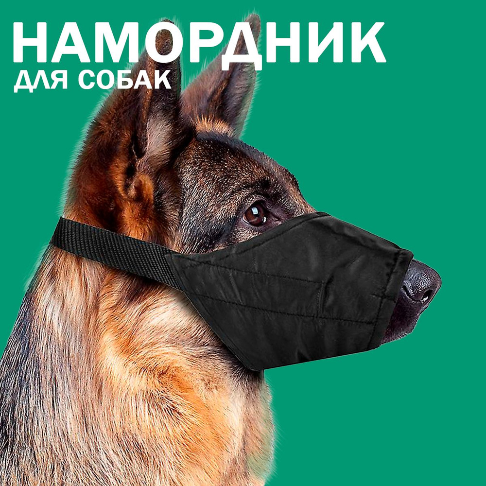 Намордник для собак нейлоновый XXL #1