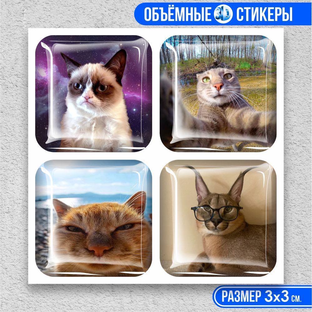 3D наклейка на телефон, Набор объемных наклеек 4 шт - Котики, коты, мемы  #1