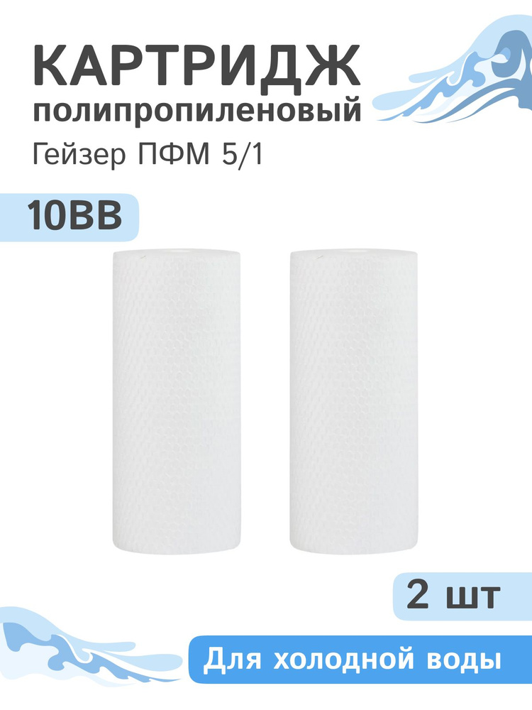 Полипропиленовые картриджи механической очистки Гейзер ПФМ 5/1 - 10BB, 28222 - 2 шт.  #1