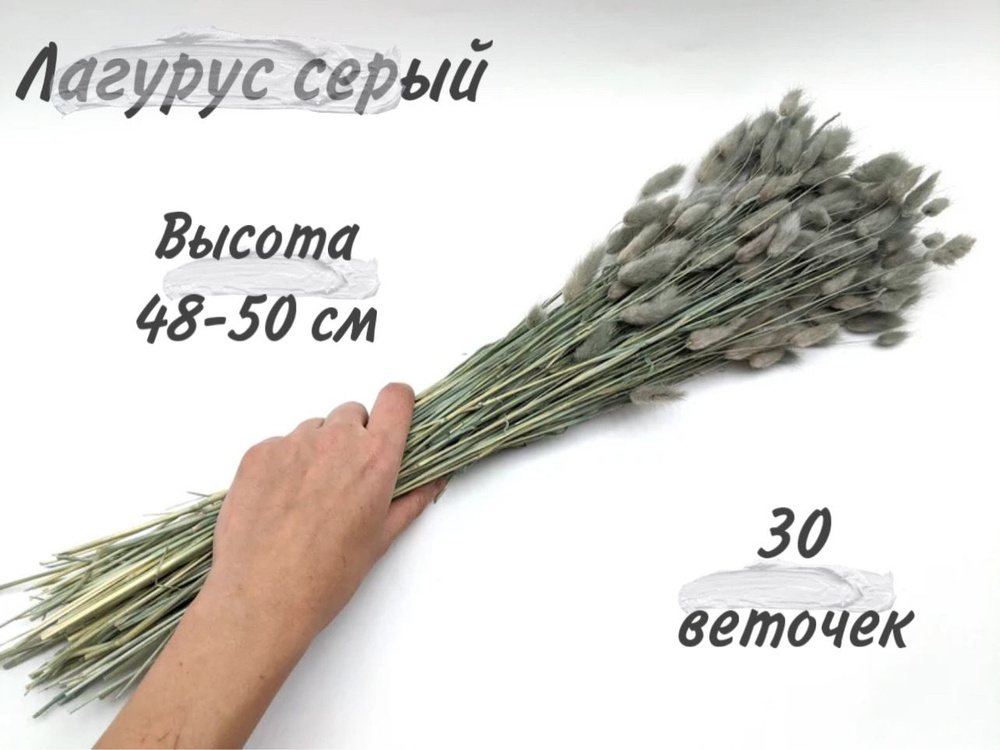 MC Букет из сухоцветов Лагурус, 50 см, 30 гр, 25 шт #1