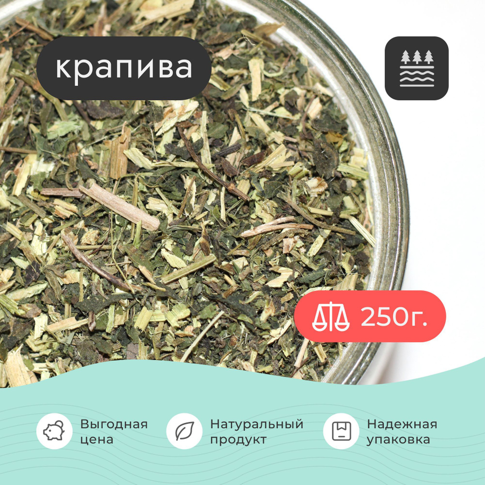 Крапива сушеная трава , 250 грамм / Для волос Для отвара Для настойки Для чая  #1