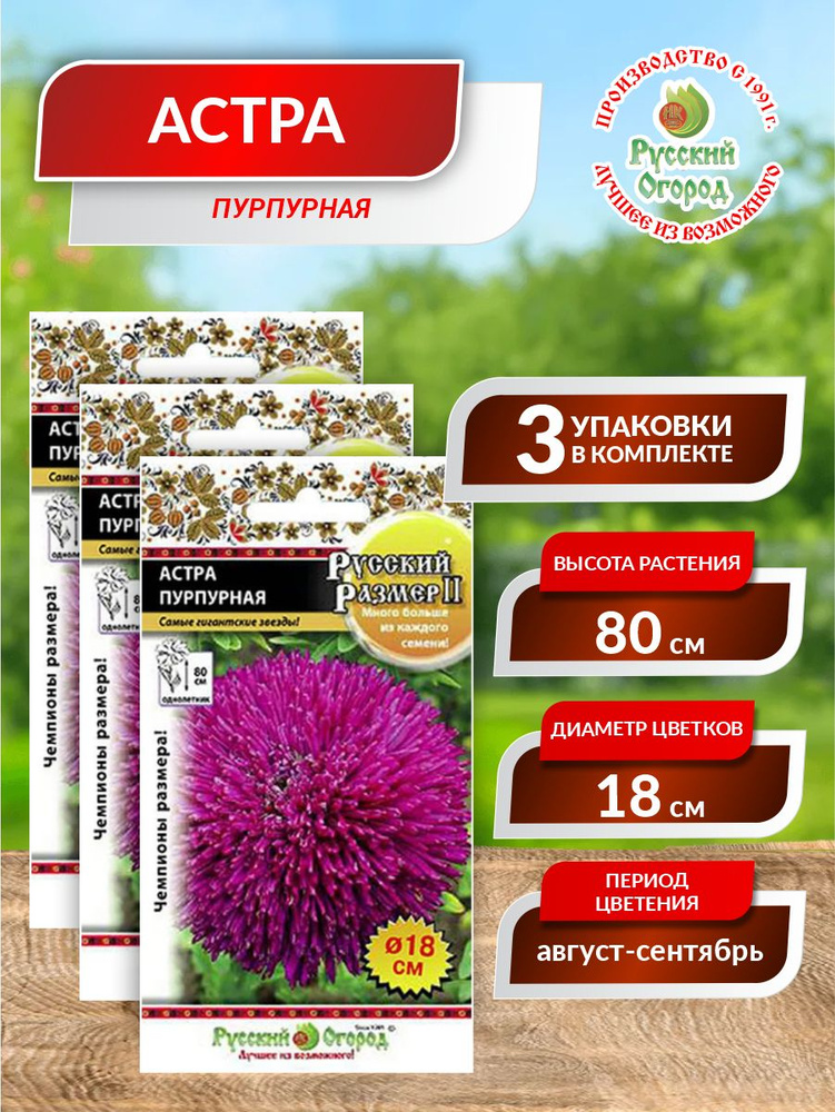 Семена Астра Русский размер 2 Пурпурная Однолетние 0,2 гр. х 3 уп.  #1