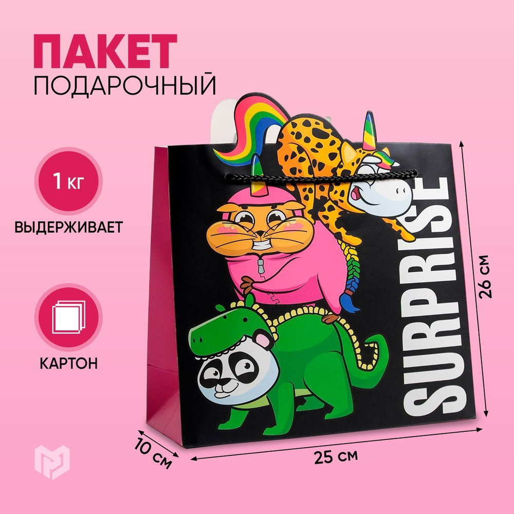 Пакет подарочный "Surpprise", 25 х 26 х 10 см #1