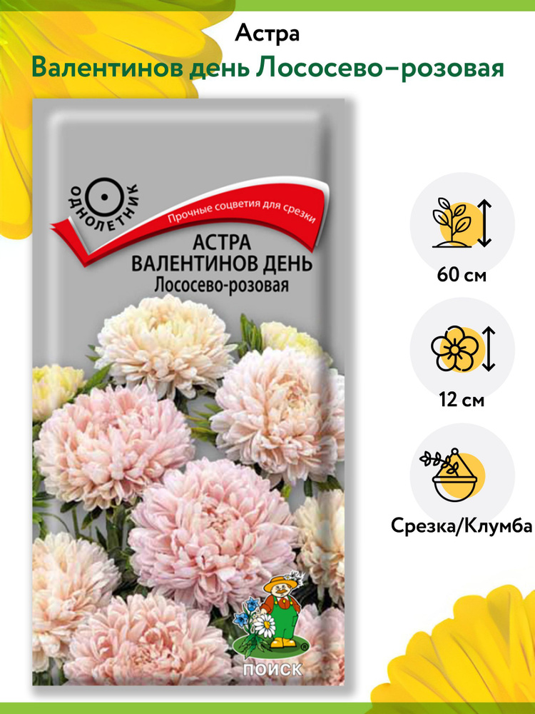 Астра Валентинов день Лососево-розовая (1 упаковка - 0,2 г). Семена однолетних цветов для сада, клумбы, #1