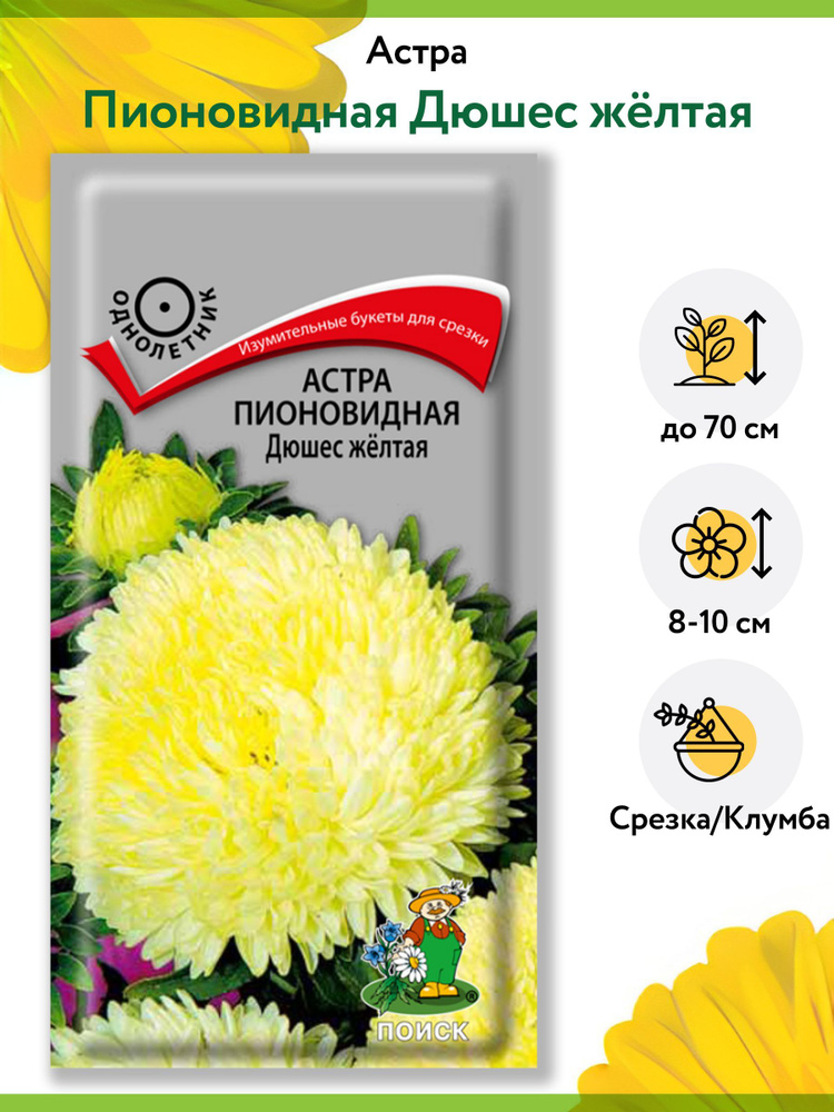 Астра Пионовидная Дюшес желтая (1 упаковка - 0,3 г). Семена однолетних цветов для сада, клумбы, срезки, #1