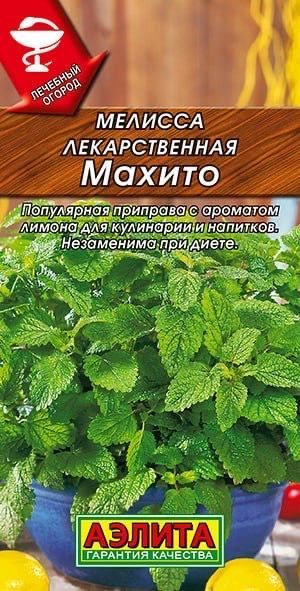 МЕЛИССА ЛЕКАРСТВЕННАЯ МАХИТО. Семена. Вес 0,1 гр. Идеально подходит для отдушки чая, уксусов, ароматизации #1