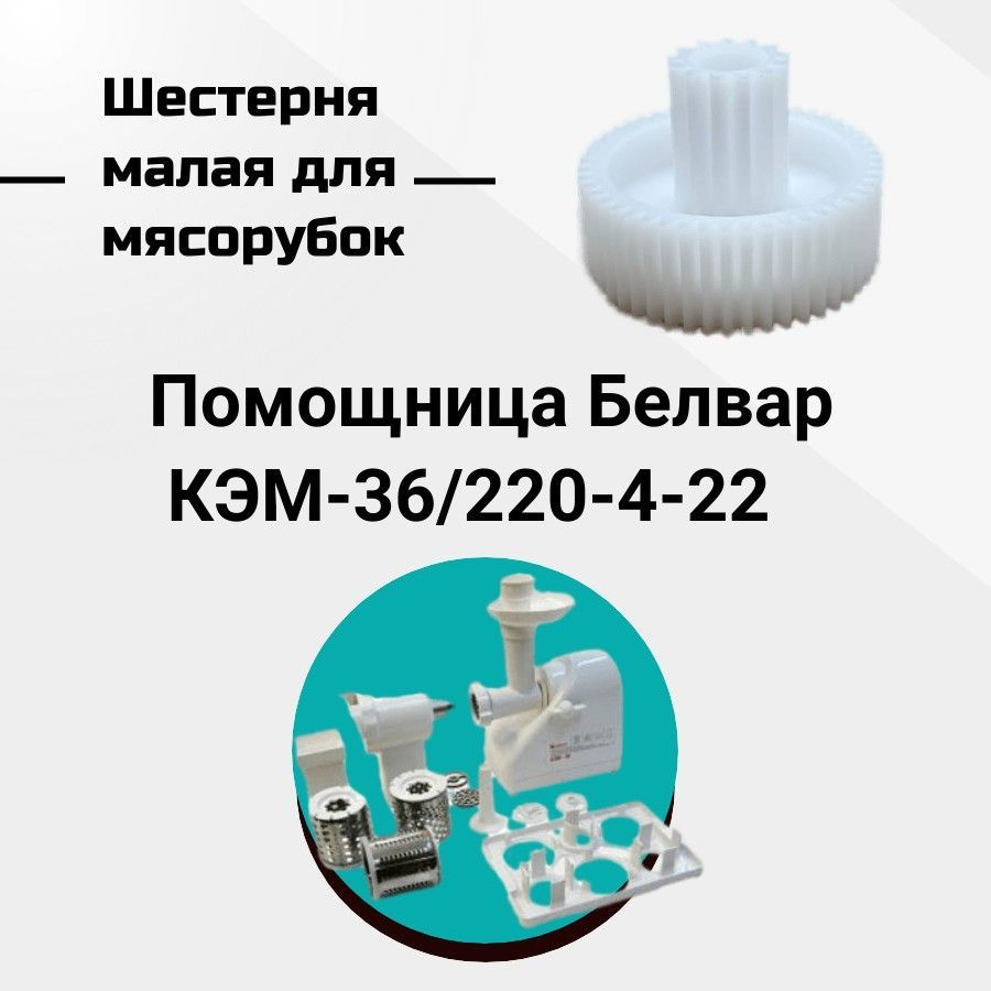 Шестерня для мясорубок Помощница Белвар КЭМ-36/220-4-22 #1