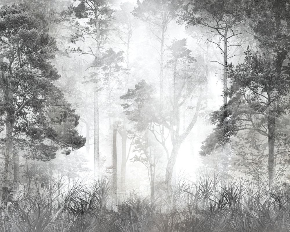 Фотообои флизелиновые на стену 3д GrandPik 10257 "Лес в тумане" см(ШхВ), 350х280 см  #1