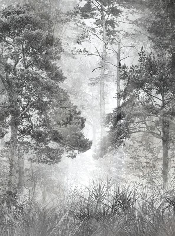 Фотообои флизелиновые на стену 3д GrandPik 10257 "Лес в тумане" см(ШхВ), 200х270 см  #1