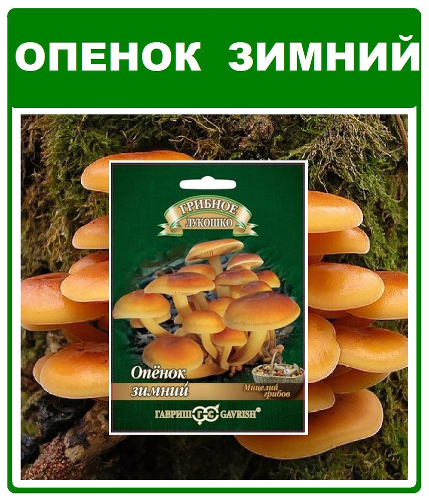 Грибы Опенок зимний мицелий грибов на палочке 12шт. Гавриш  #1