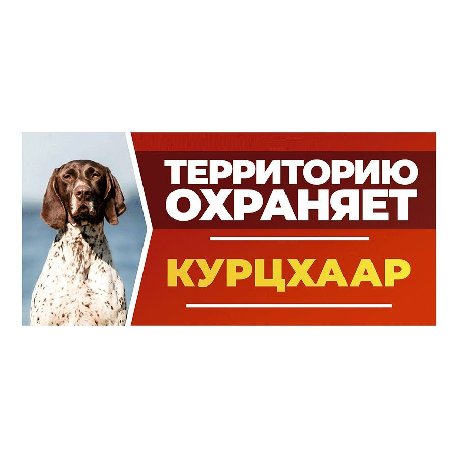 Табличка, DANGER DOG, Курцхаар, на забор, 30см х 14см #1