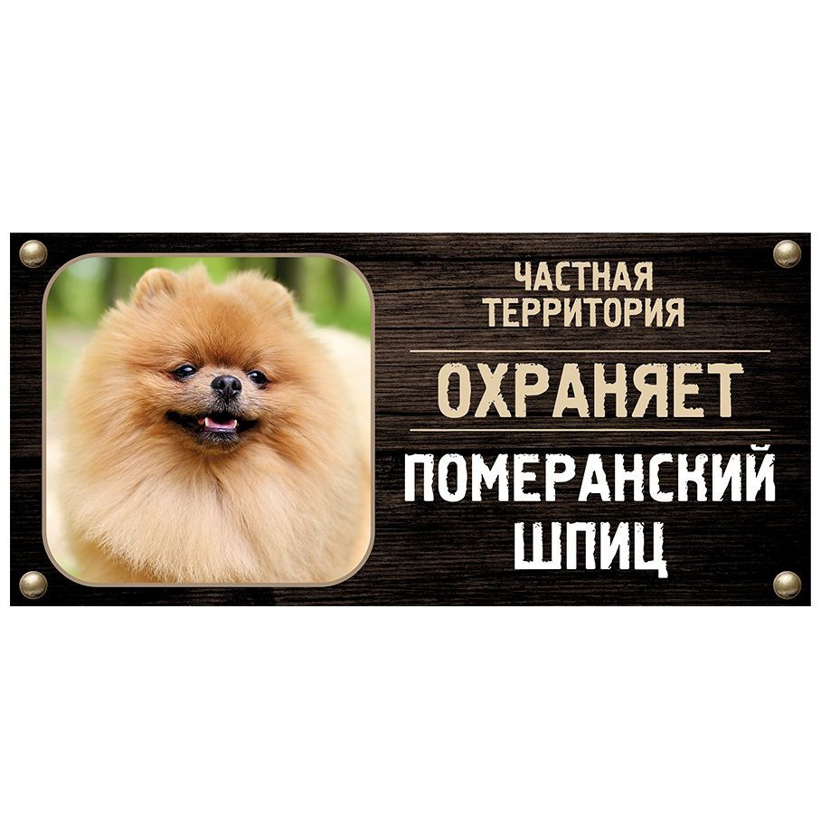 Табличка, Злая собака, Территорию охраняет Померанский шпиц, на металлической основе, 30см х 14 см, на #1