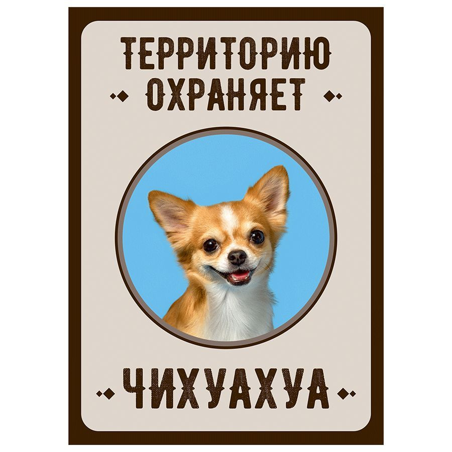 Табличка, Злая собака, Территорию охраняет Чихуахуа, на металлической основе, 18см х 25 см, на забор, #1