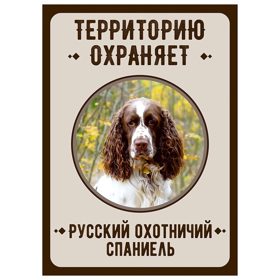 Табличка, Злая собака, Территорию охраняет Русский охотничий спаниель, на металлической основе, 18см #1