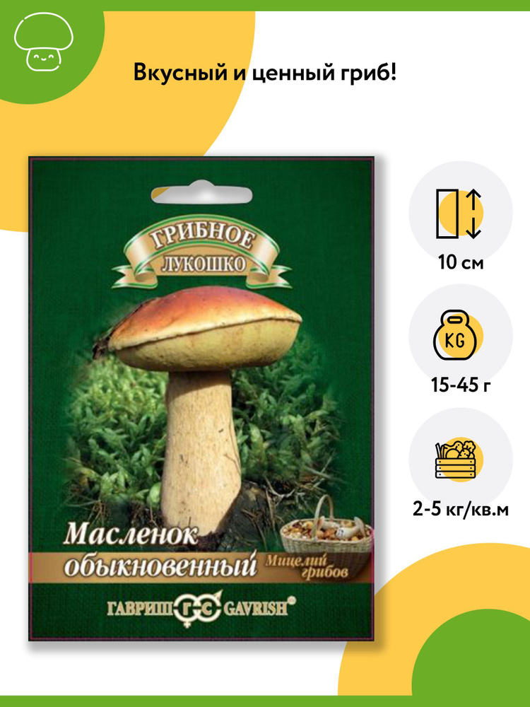 Гриб Масленок обыкновенный (1 уп - 15 мл). Мицелий грибов. Агрофирма "Гавриш"  #1