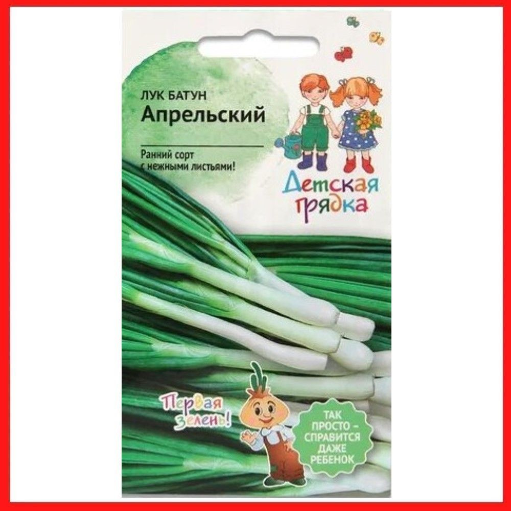 Семена Лук батун "Апрельский" 0,5 гр, для дома, дачи и огорода, лук из семян, в открытый грунт, в контейнер, #1