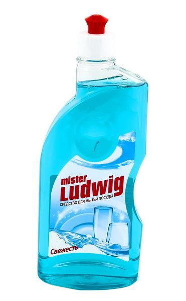 ROMAX Средство Mister Ludwig для мытья посуды FRESH, 500 мл #1