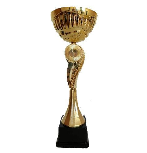 Кубок спортивный Данко, высота 30,5 см #1