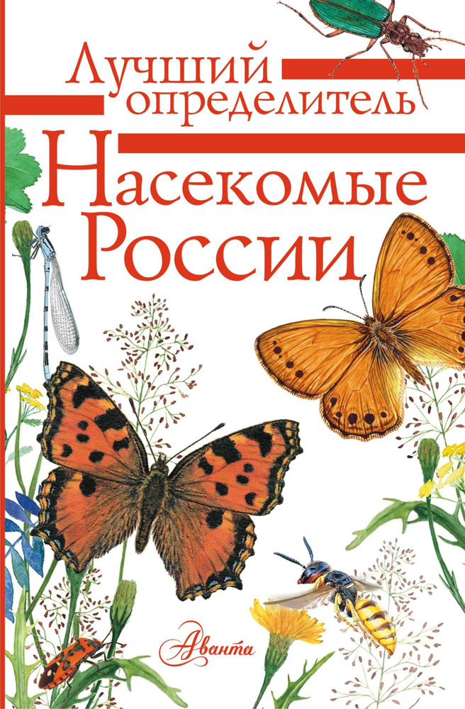 Насекомые России | Гомыранов Илья Алексеевич, Полевод Владимир Анатольевич  #1