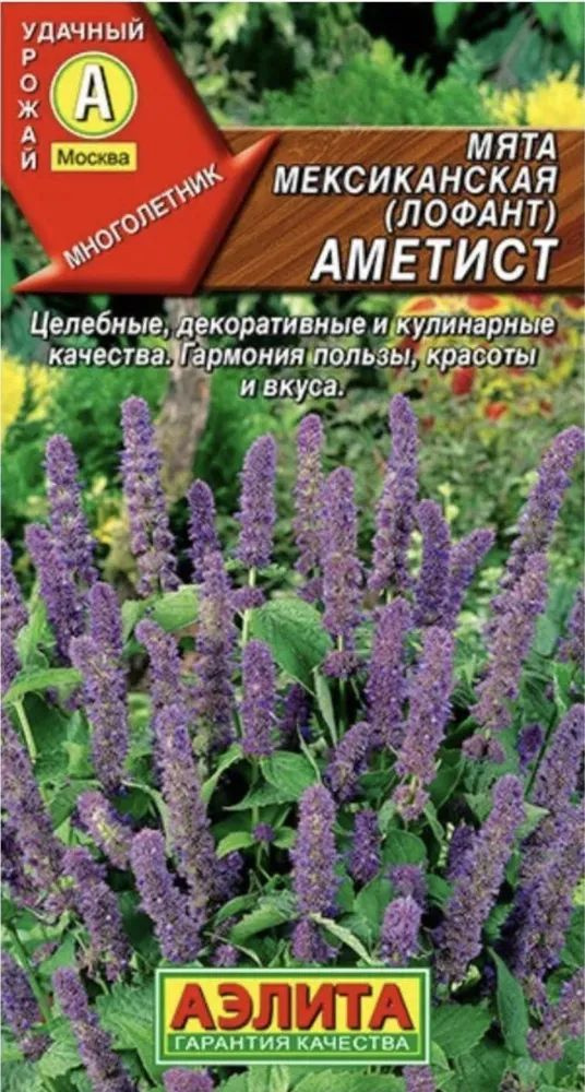 Семена Мята Мексиканская Аметист (0,05г) - Аэлита #1