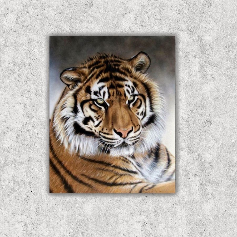Алмазная мозаика с круглыми стразами 40*50 "Красивый тигр"  #1