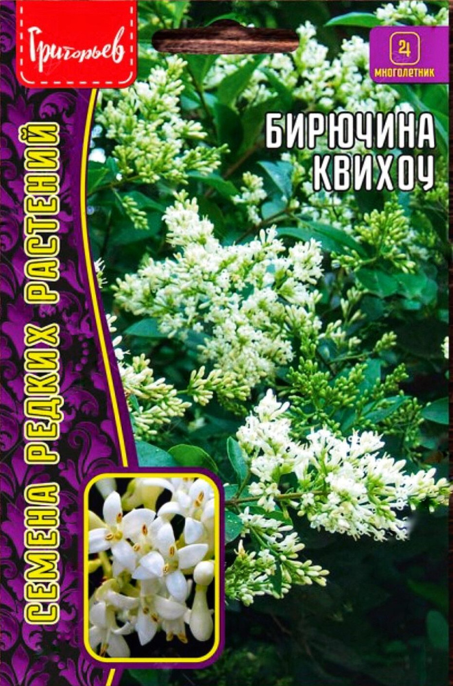 Бирючина Квихоу (Ligustrum quihoui), 1 пакет, семена 10 шт, многолетний листопадный кустарник, ЧК  #1