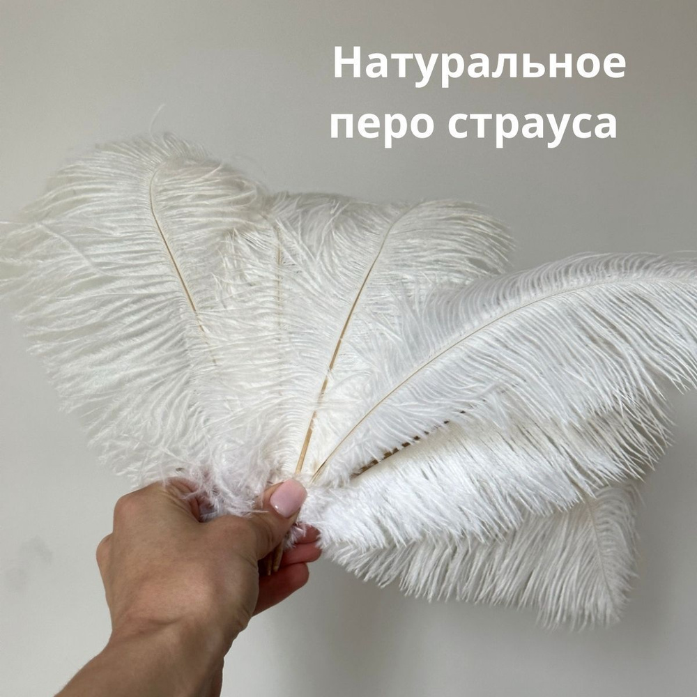 Перья страуса белые натуральные 25-30 см, 1шт #1