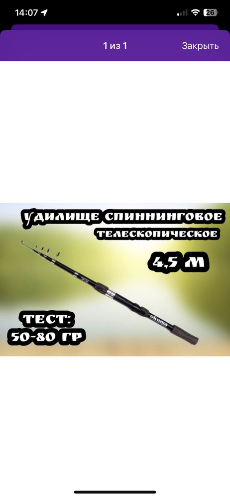 Royal Fish Спиннинг, рабочая длина:  450 см , до 80 гр #1