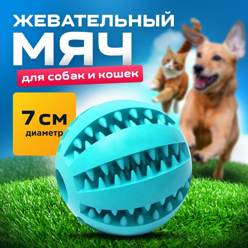 Мяч для собак голубой 7 см/для чистки зубов /развивающая жевательная игрушка для мелких и средних пород #1