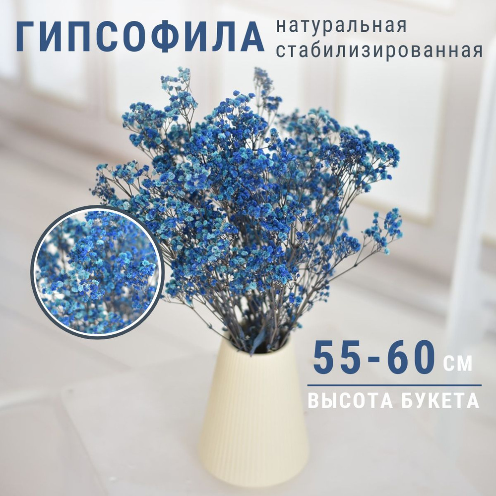 Сухоцвет Гипсофила для вазы Trava Decor стабилизированный цветок для декора  #1