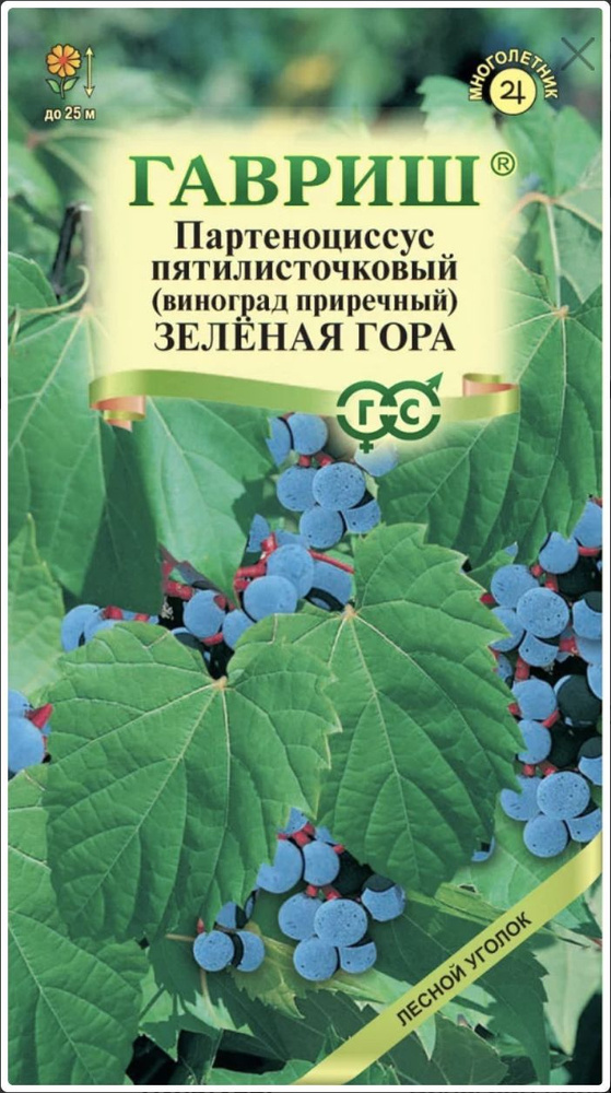 Виноград приречный ЗЕЛЕНАЯ ГОРА (Партеноциссус пятилисточковый), 1 пакет, семена 5 шт, ГАВРИШ, декоративный #1