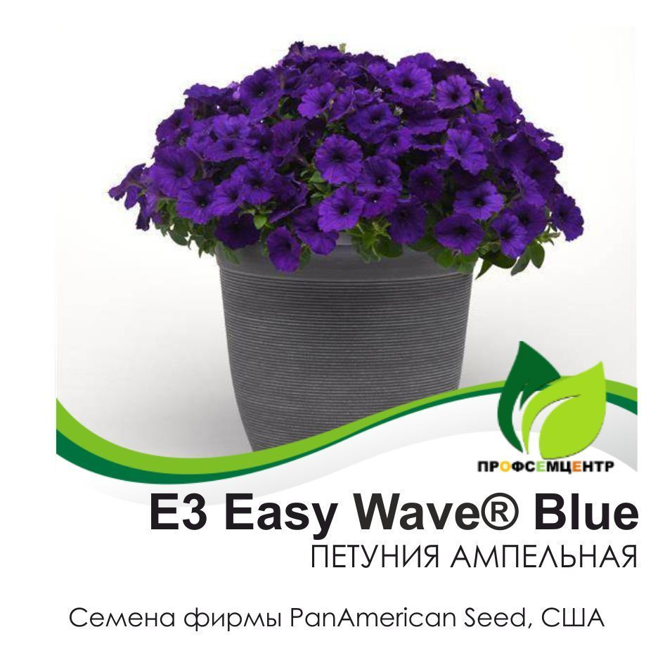 Петуния E3 Easy Wave Blue (Е3 Изи Вэйв Блю), семена, 5 шт. (фасовка), ампельная  #1