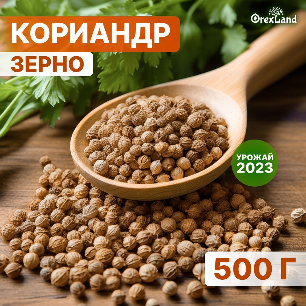 Кориандр зерно, семена кориандра 500 г (целый, в зернах), orexland  #1