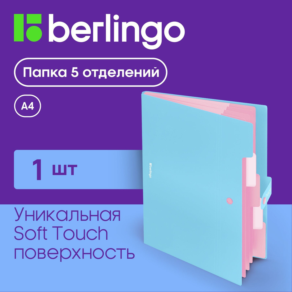 Папка 5 отделений Berlingo "Haze", А4, 600мкм, на кнопке, голубая, софт-тач  #1